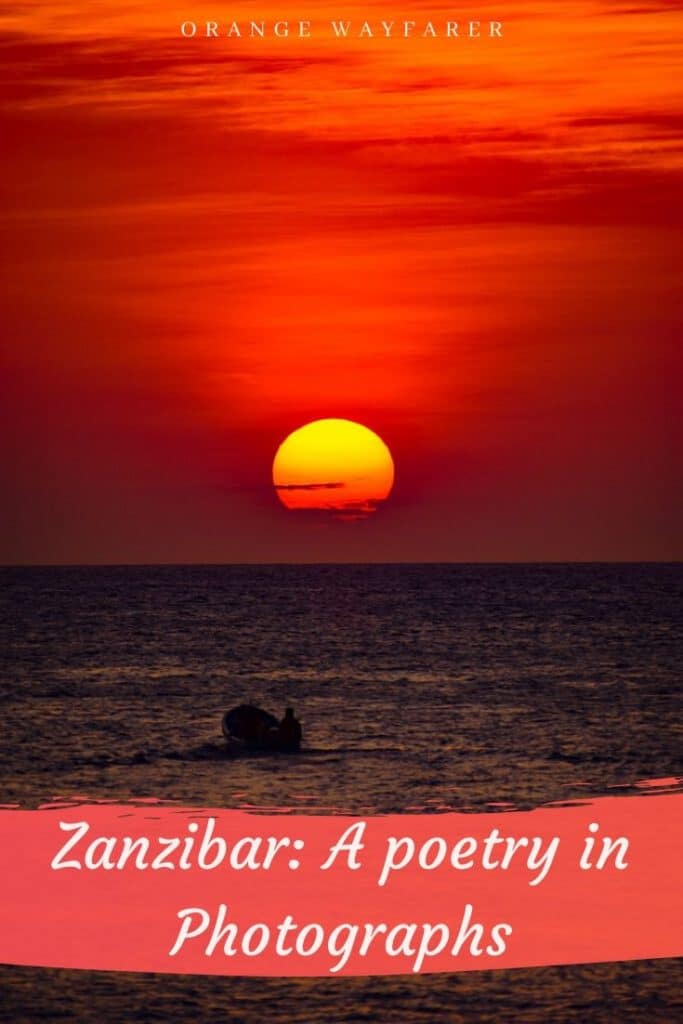 Zanzibar phtoblog depicting art culture and nature of zanzibar. Zanzibar Indian ocean. #zanzibar #zanzibarisland #zanzibarculture #zanzibarart #indianocean #zanzivarinstagram #instagramspotsinzanzibar #zanzibarsunset #africa #africanisland #africansunset  #stonetownsunset