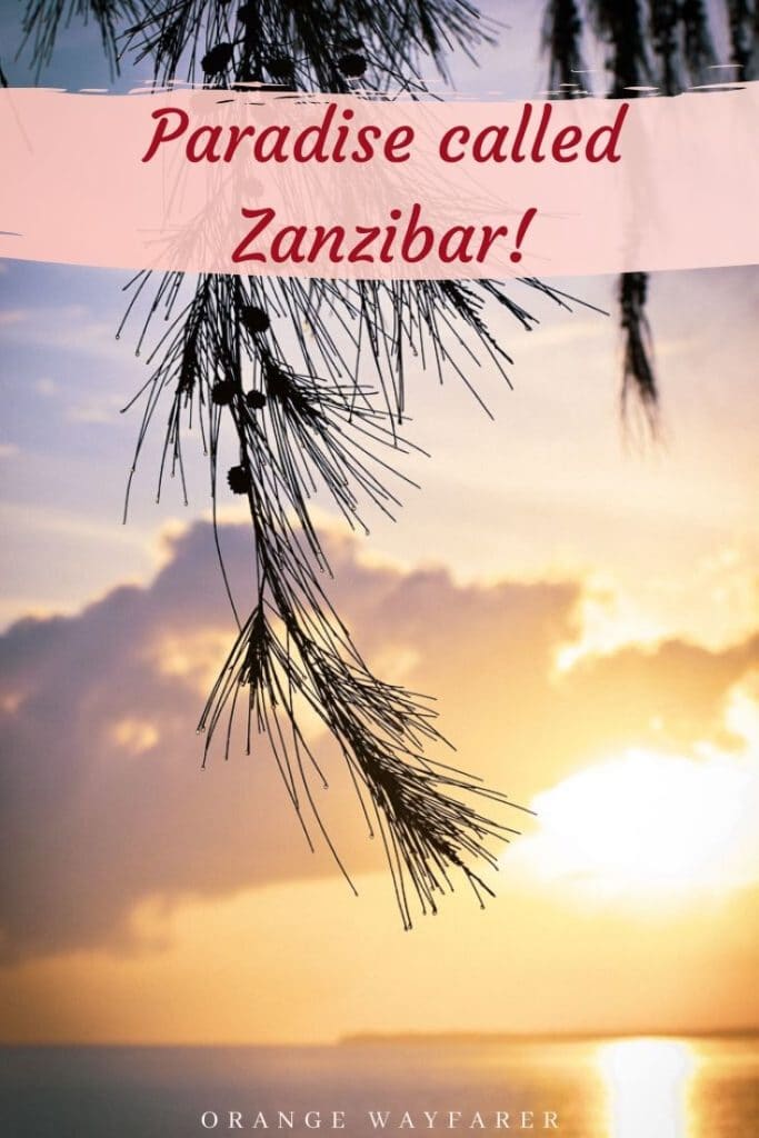 Zanzibar phtoblog depicting art culture and nature of zanzibar. Zanzibar Indian ocean. #zanzibar #zanzibarisland #zanzibarculture #zanzibarart #indianocean #zanzivarinstagram #instagramspotsinzanzibar #zanzibarsunset #africa #africanisland #africansunset  #tanzaniatravel