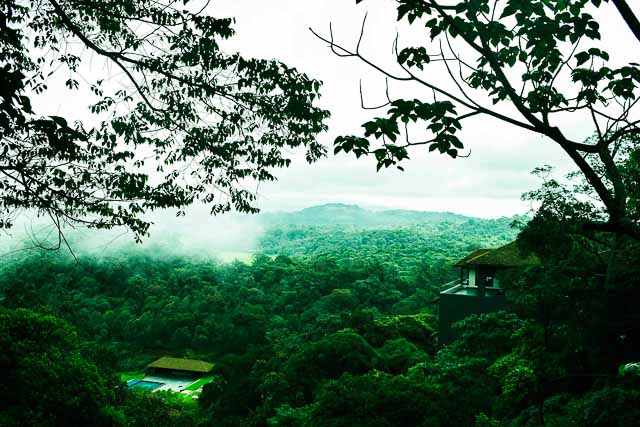 taj madikeri resort & spa, coorg madikeri, karnataka: the view