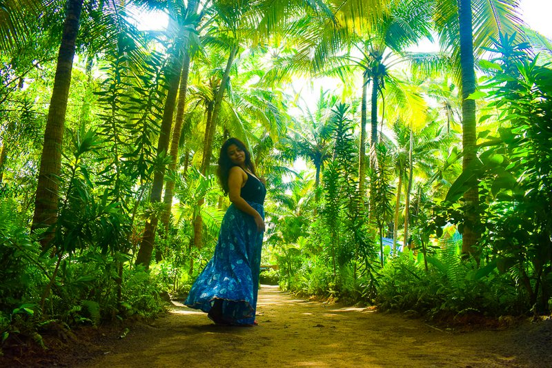 Coconut tree road in Goa: offbeat Goa