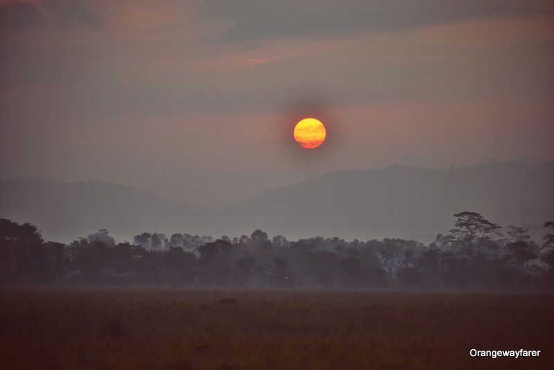 Kaziranga Sunset