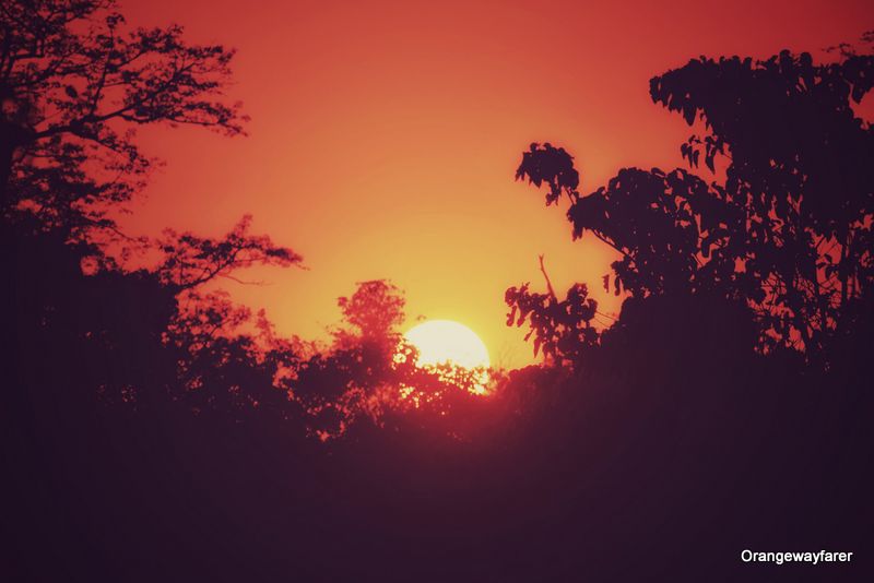 A sunset at Kaziranga