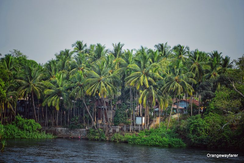 Kali river dandeli