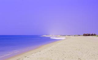 Dhanushkodi