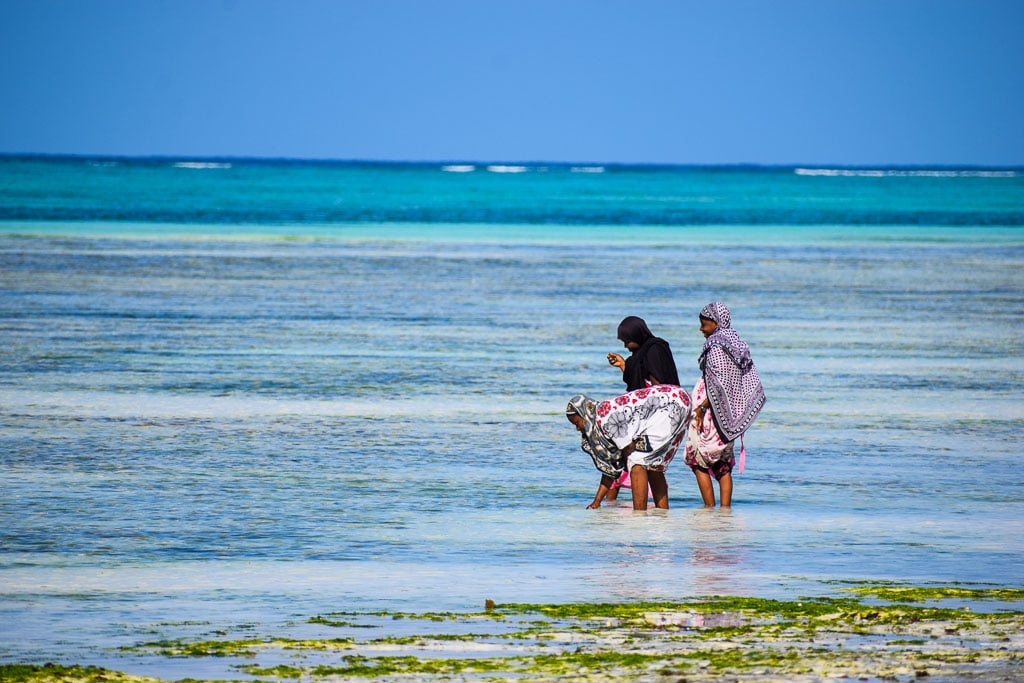 Local fishing village at Zanzibar: nungwi zanzibar