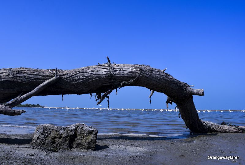 Of life and death: ruins of Dhanushkodi