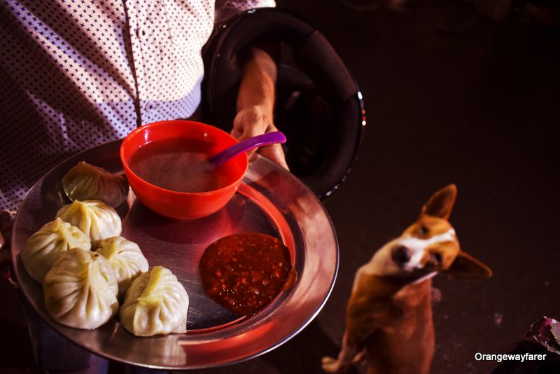 Momo on the streets of Kolkata