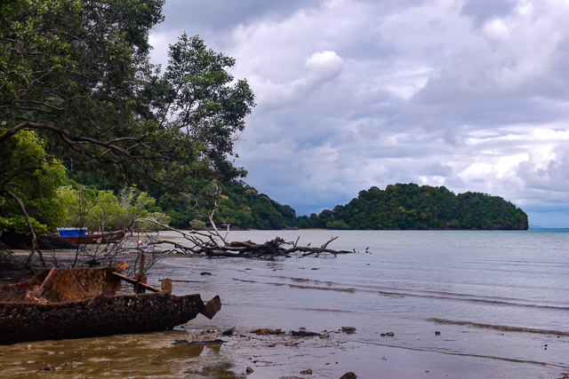 Mangrove Beach at Railay, Krabi