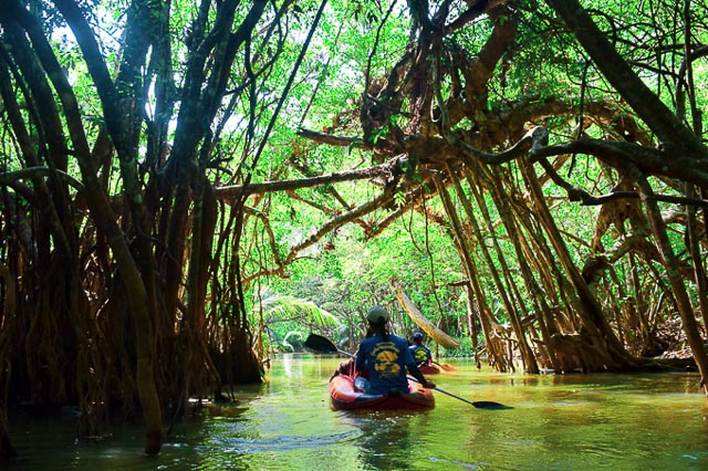 Little amazon tour, Thakuapa. Offbeat things to do in Thailand