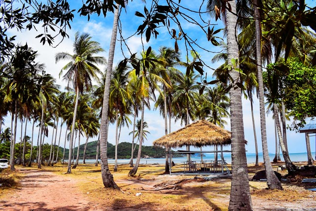 Coconut grove in Thailand: Koh Yai Yoi. beaches in Thailand which are not crowded.