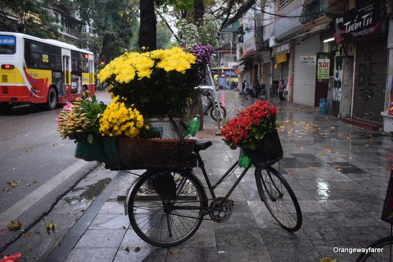 Hanoi Flower Market