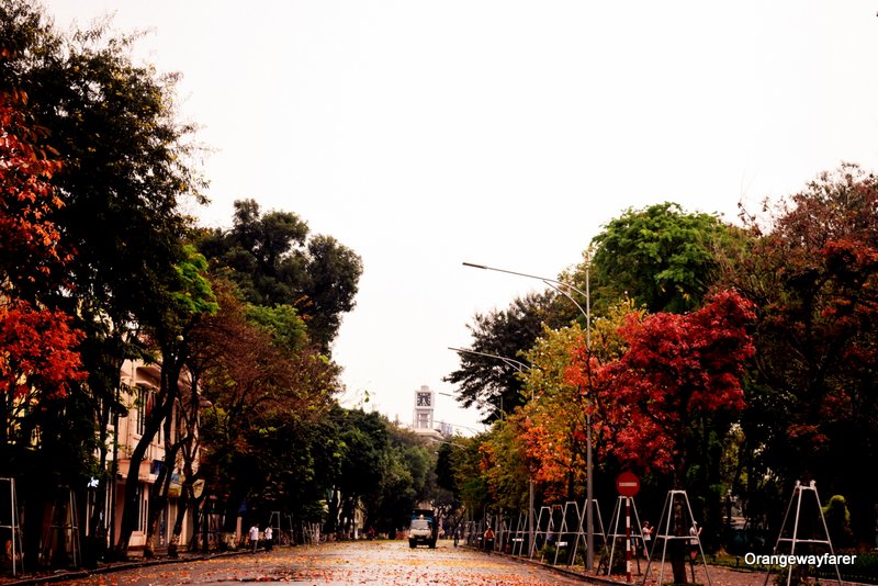 Hanoi during Fall