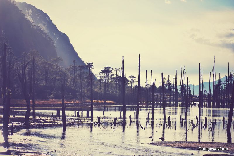 Madhuri lake