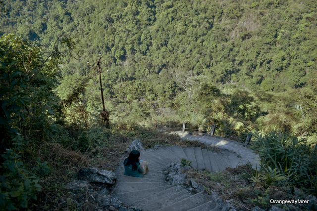 On the way to double decker root bridge trek in Shillong! 