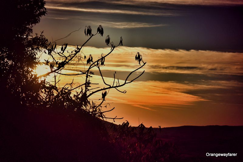 Cherrapunji Sunset