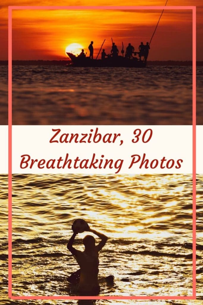 Zanzibar phtoblog depicting art culture and nature of zanzibar. Zanzibar Indian ocean. #zanzibar #zanzibarisland #zanzibarculture #zanzibarart #indianocean #zanzivarinstagram #instagramspotsinzanzibar #zanzibarsunset #africa #africanisland #africansunset 