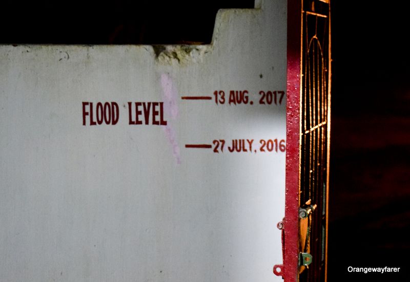 Flood scene in Kaziranga national park