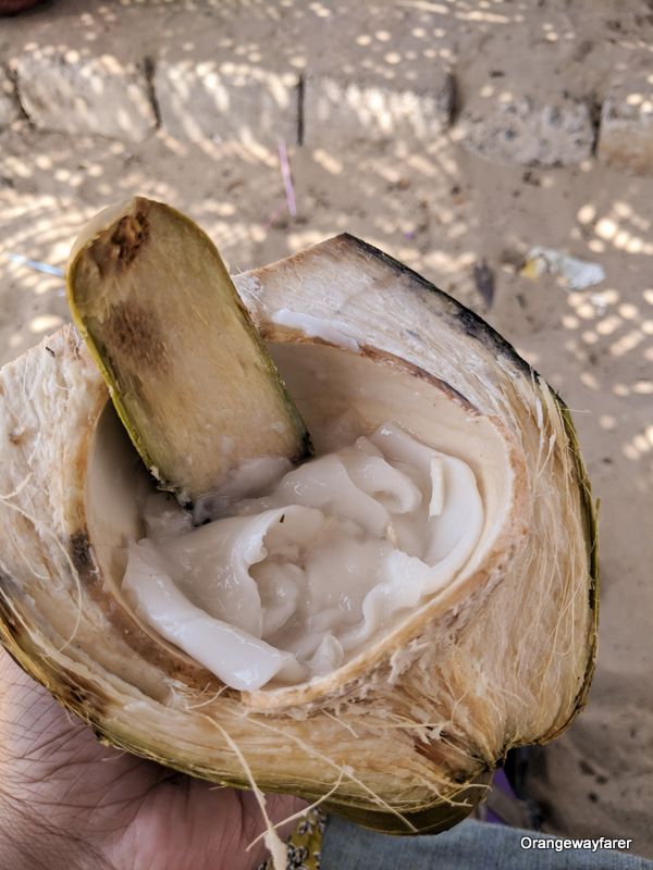 tender coconut in Tamilnadu