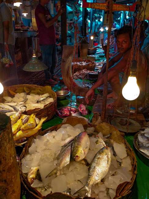 local experiences in Kolkata: a fish market