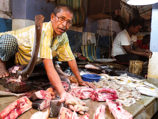 Fish Market in Kolkata