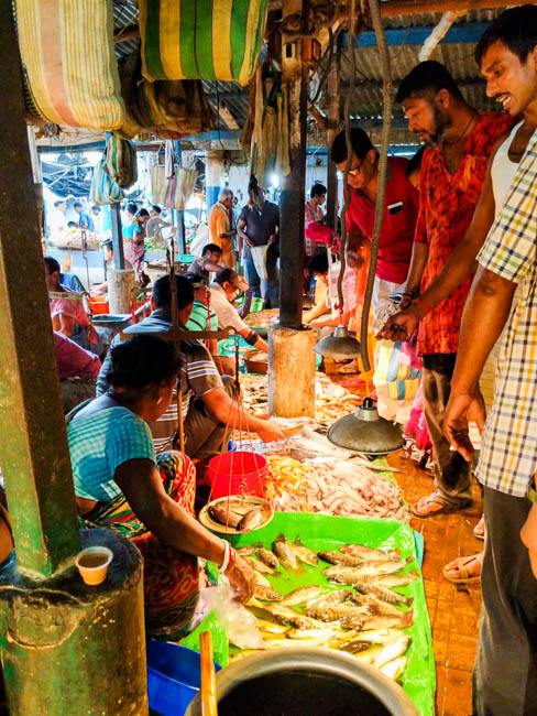 famous fish market in kolkata