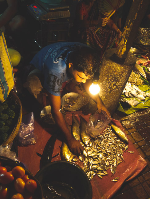 famous fish market in kolkata