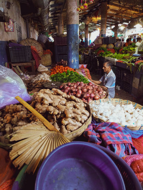 handheld tal patar pakha in Kolkata: old things in Bengal