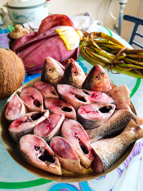 hilsa fish: food photography