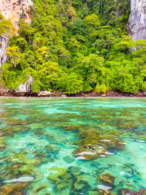 SNorkelling at Phi Phi Island Thailand