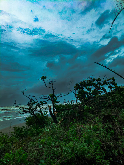 Cyclone Kyarr and its aftermath in Goa