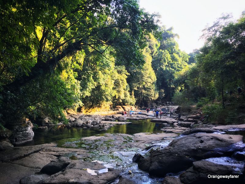 Root bridges Meghalaya