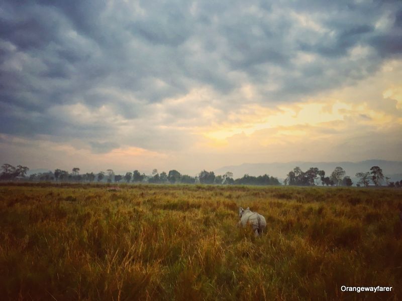 A rather Rainy day at Kaziranga and morning sunrise