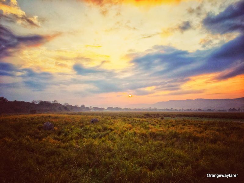 Sunrise at Kohora Range Kaziranga