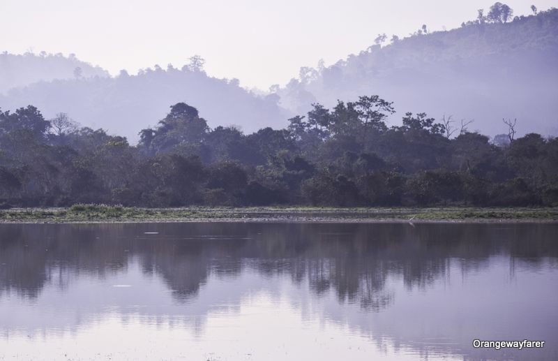 Dhighali Beel Kaziranga