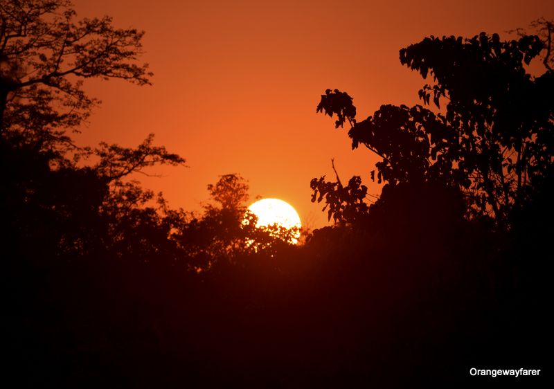 Sunset at Kaziranga