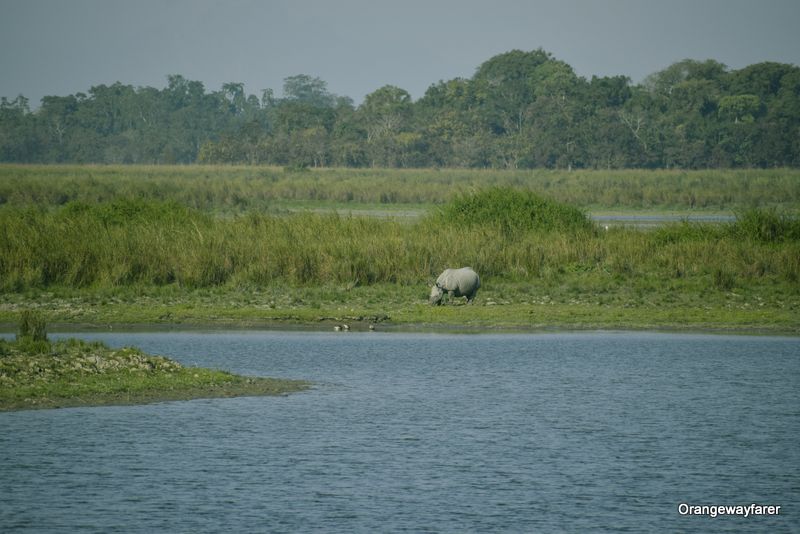 Dheeghali bill Kaziranga