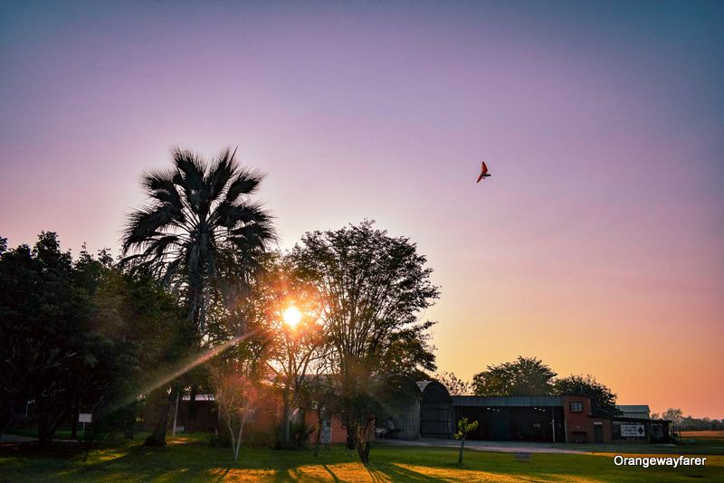 Microlight flying high at Livingstone Zambia