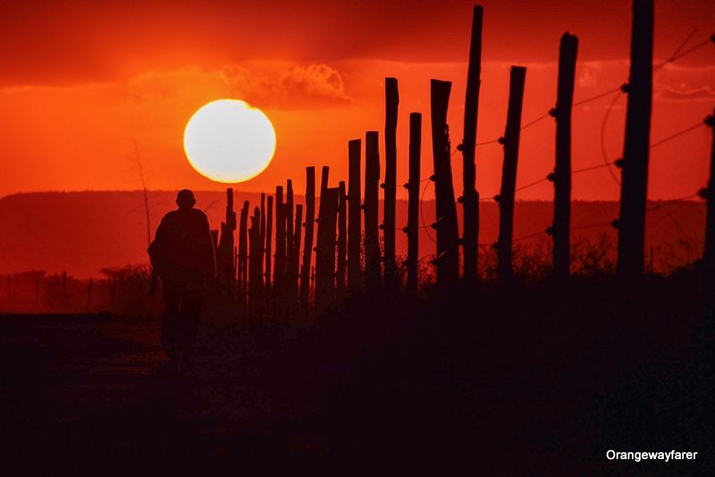 Masaimara Sunset