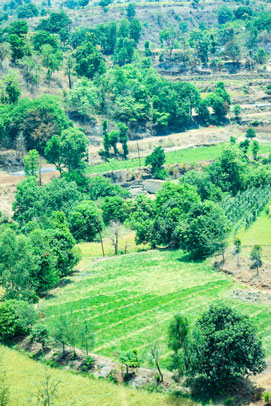 Purushwadi eco tourism near Bombay