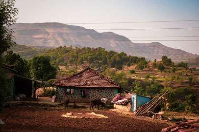 the homestay at Purushwadi village where fireflies festival takes place in monsoon