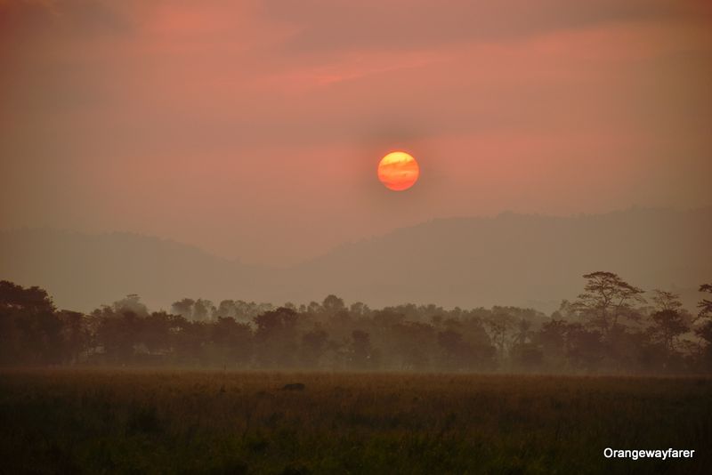 Sunrise at Kaziranga forest, Assam