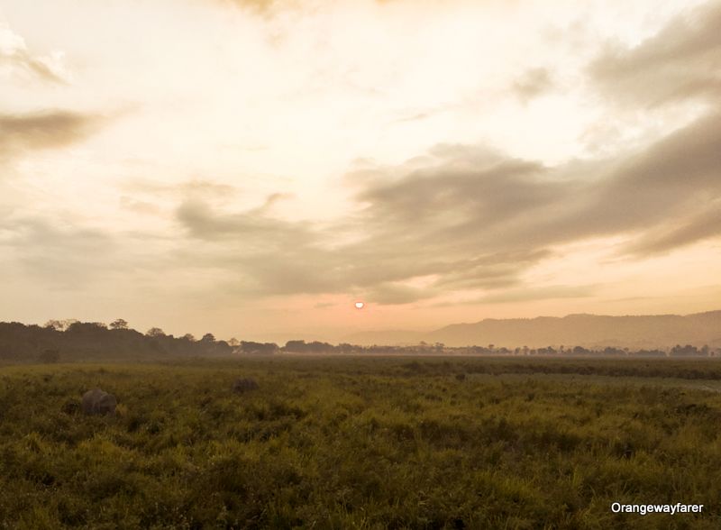 Kaziranga Sunrise at Kohora