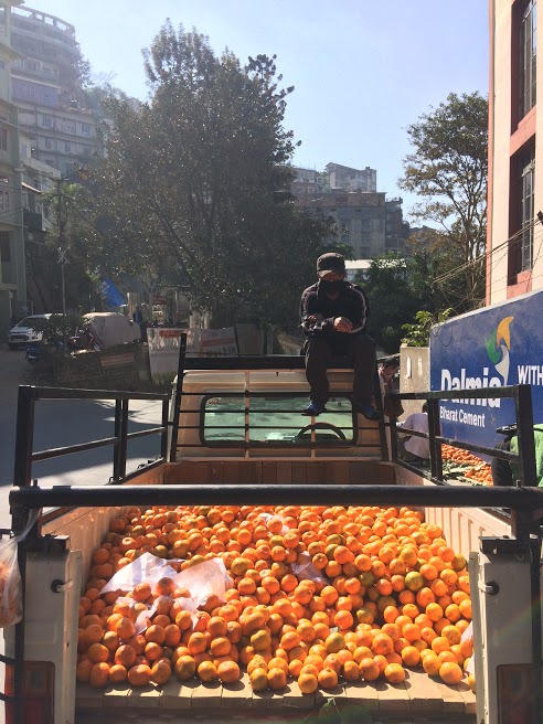 Aizawl oranges