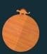 Orange Wayfarer