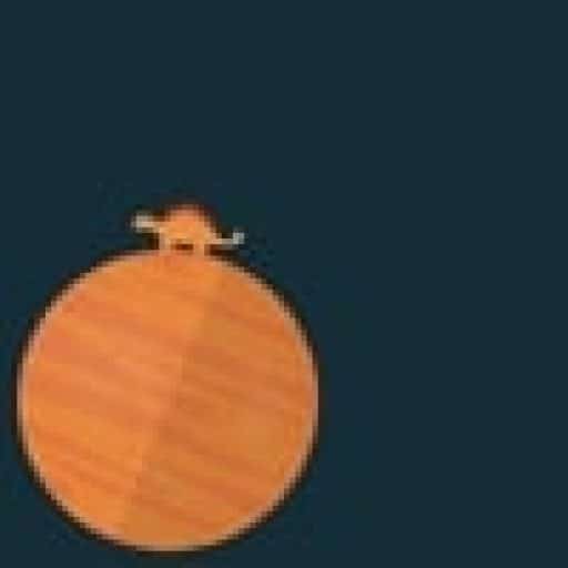 Orange Wayfarer logo