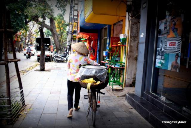A fruit seller on the streets of hanoi