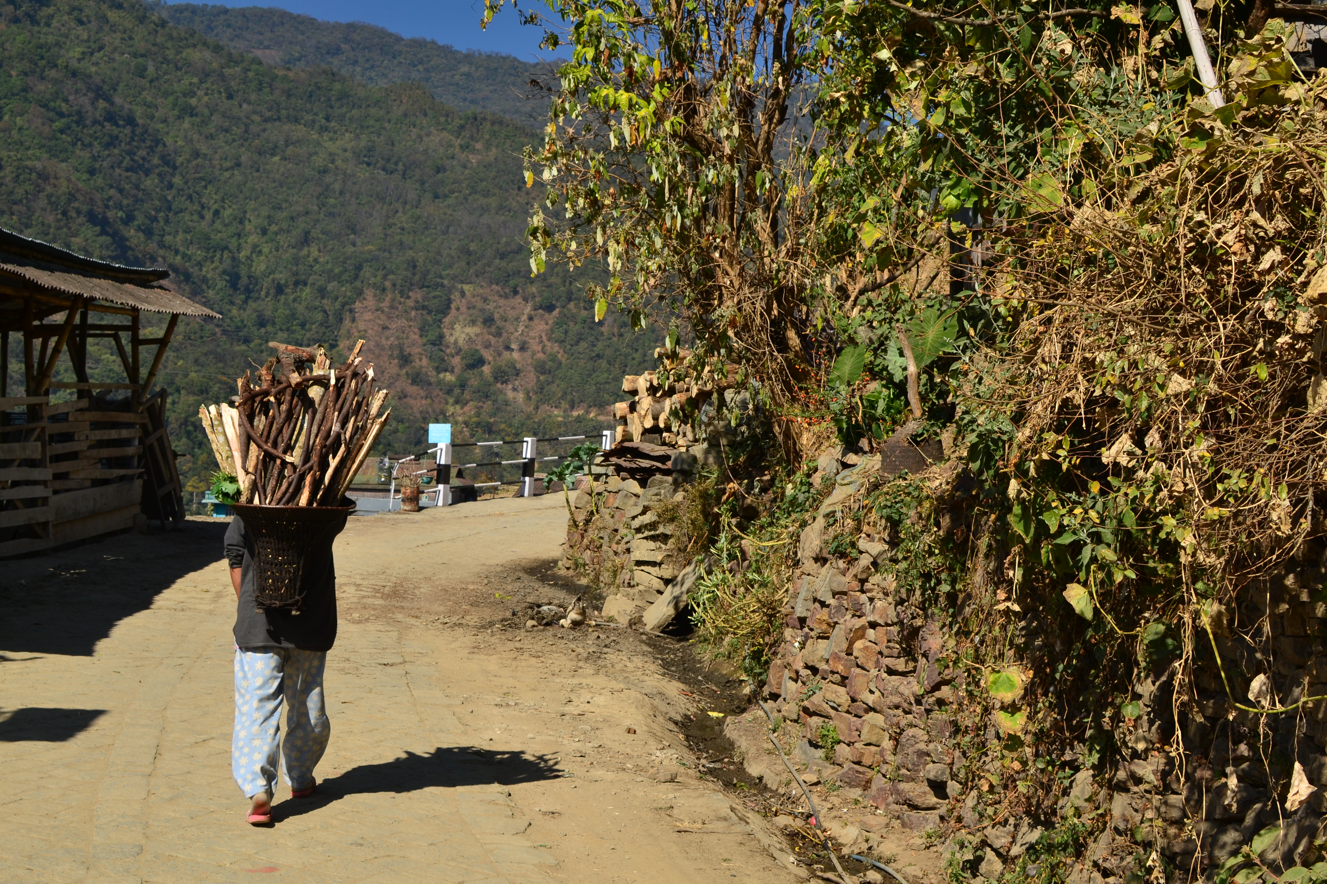 nagaland manipur mizoram tourism