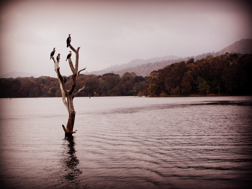 Kerala travel blogs photos