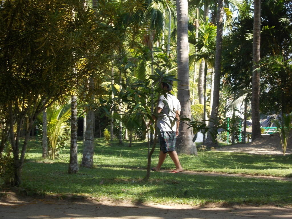 Kerala travel blogs photos