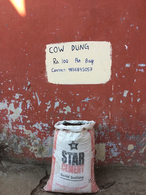 Kohima funny cowdung